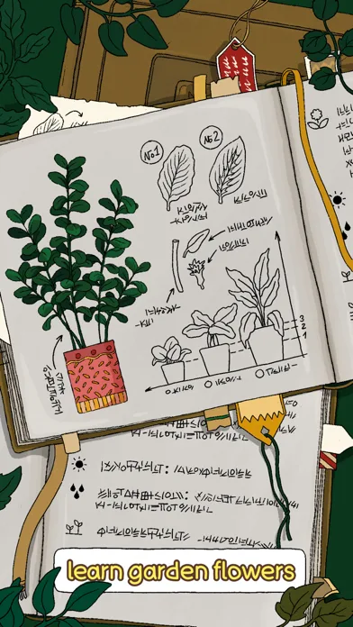 Home Garden Lulu & Terrarium screenshot 5