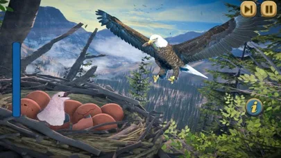 Eagle Bird Wild Life Sim Games screenshot 1