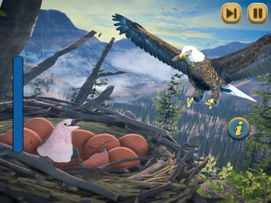 Eagle Bird Wild Life Sim Games screenshot 5