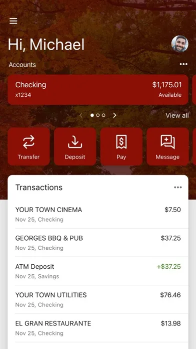 Maries County Bank screenshot 1