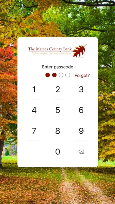 Maries County Bank screenshot 2