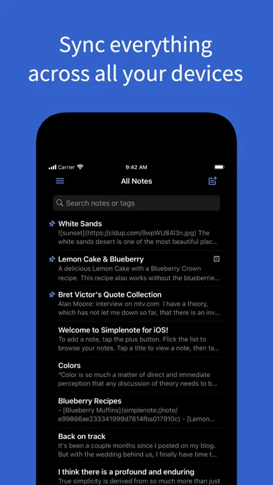 Simplenote screenshot 2
