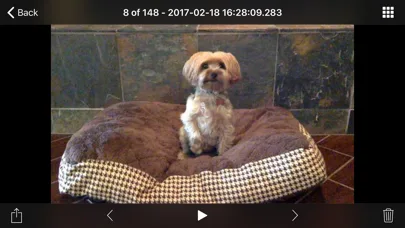 iCam - Webcam Video Streaming screenshot 4