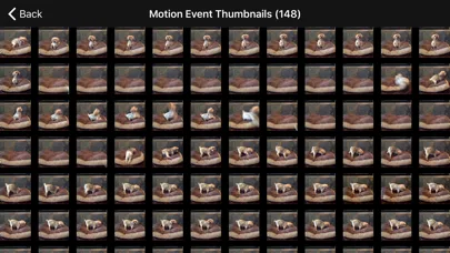 iCam - Webcam Video Streaming screenshot 5
