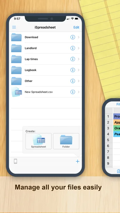 iSpreadsheet™ : Office Sheets screenshot 2