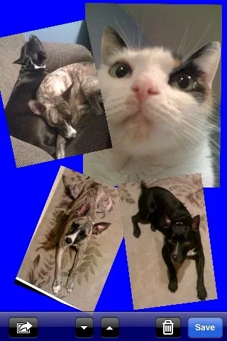 Collage Lite screenshot 5