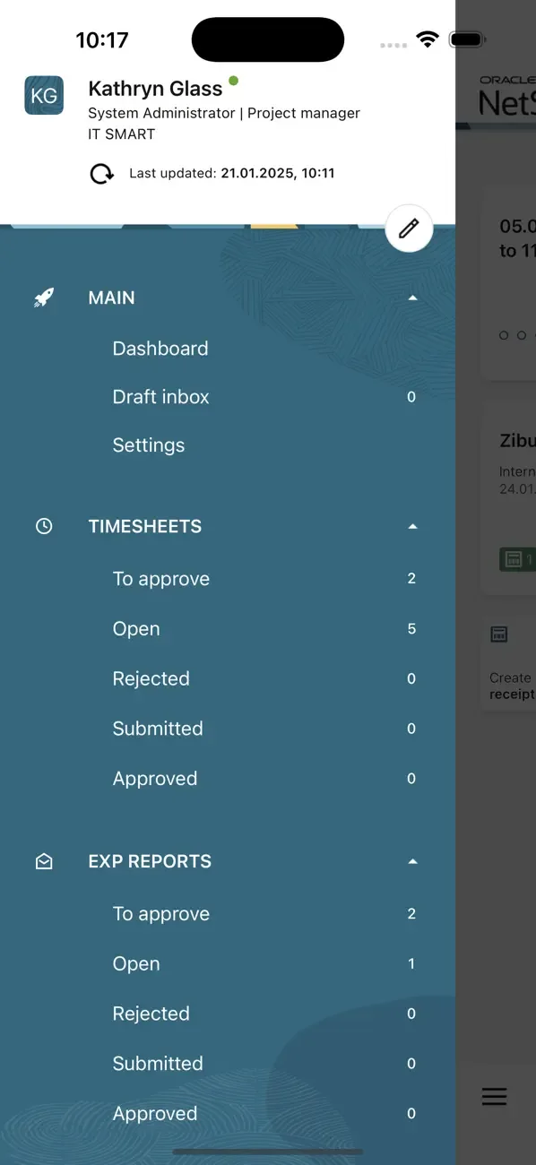 NetSuite SuiteProjects Pro screenshot 2