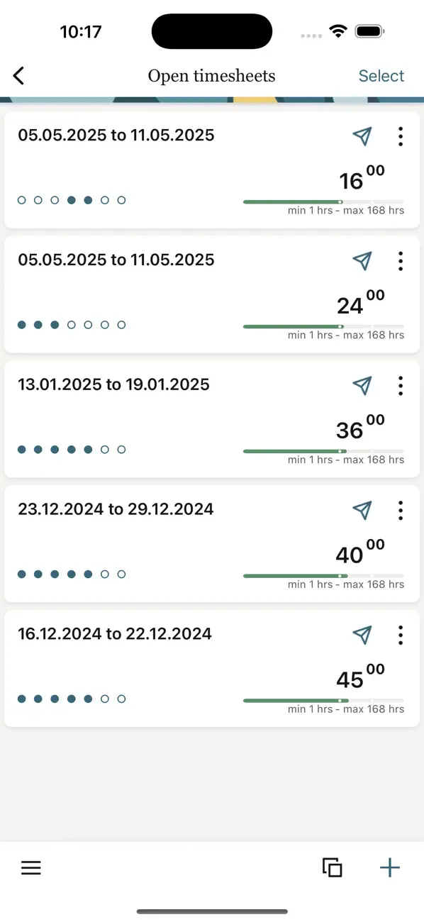 NetSuite SuiteProjects Pro screenshot 3