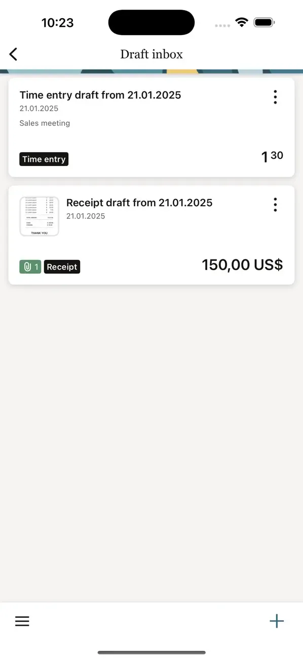 NetSuite SuiteProjects Pro screenshot 5