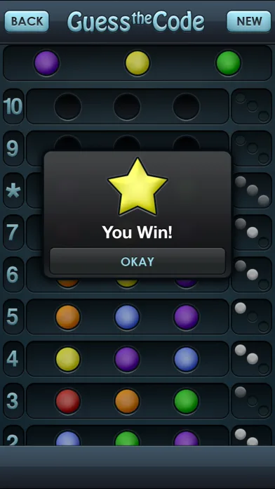 Guess the Code! screenshot 2
