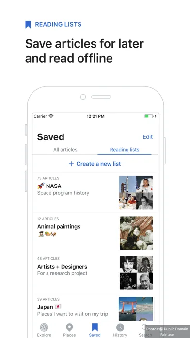 Wikipedia screenshot 4