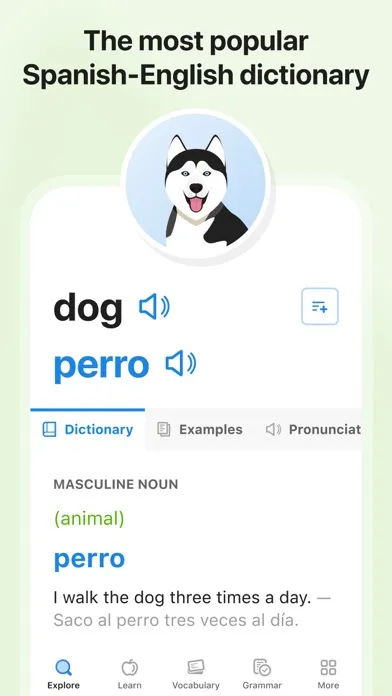 SpanishDictionary.com Learning screenshot 1