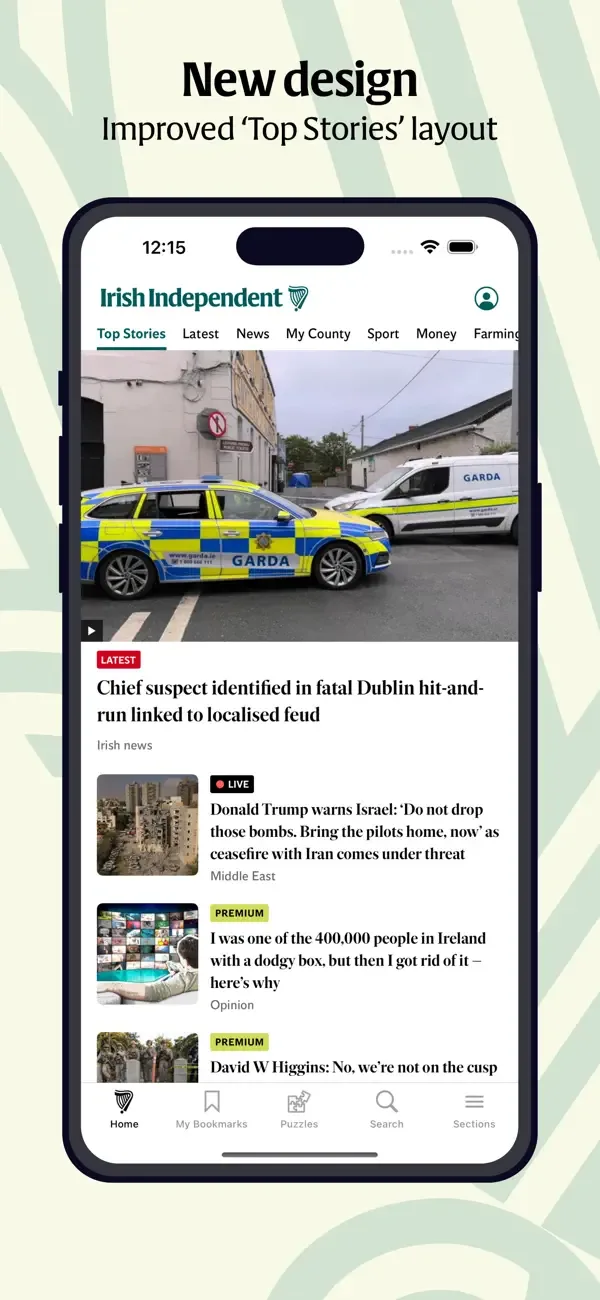 Irish Independent News screenshot 1