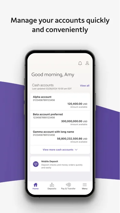Wells Fargo Vantage® screenshot 4