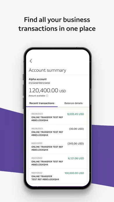 Wells Fargo Vantage® screenshot 5