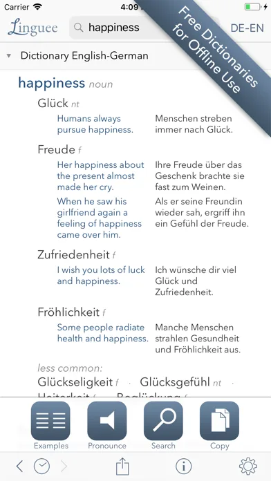 Dictionary Linguee screenshot 2