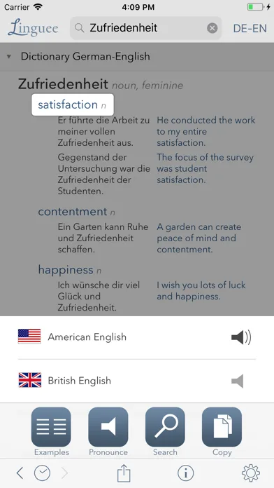 Dictionary Linguee screenshot 3
