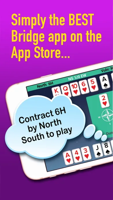 iBridgePlus screenshot 1