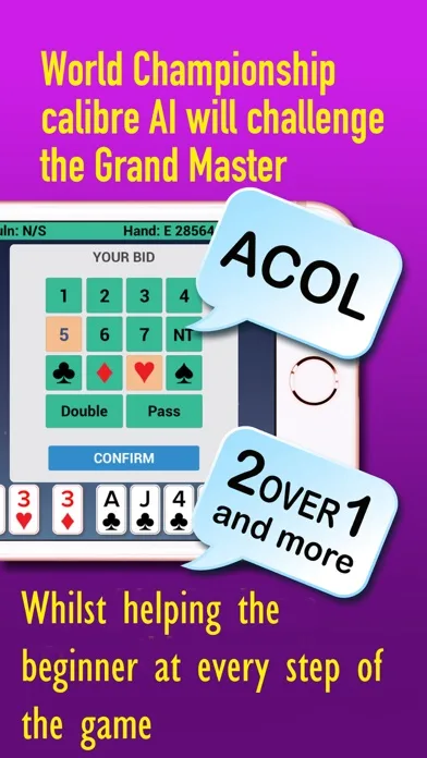 iBridgePlus screenshot 4