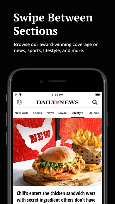 New York Daily News screenshot 1