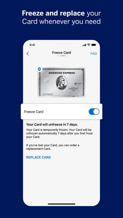 Amex screenshot 5
