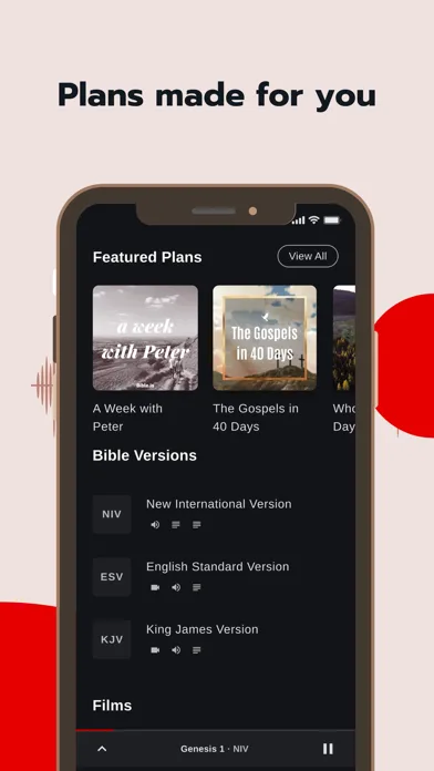 Bible - Audio & Video Bibles screenshot 4