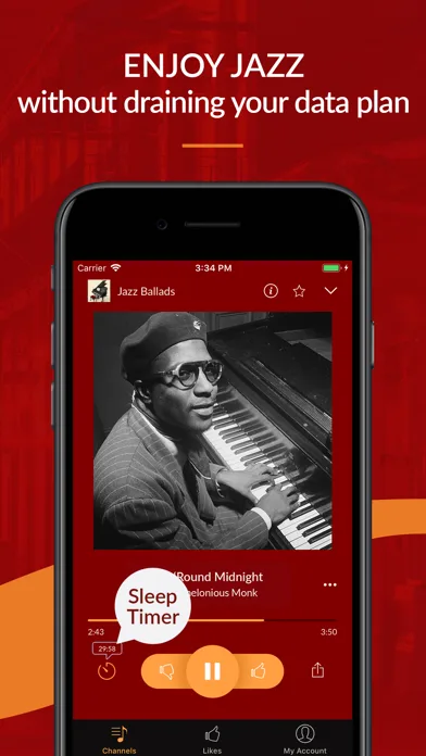 JAZZ RADIO - Enjoy Great Music screenshot 3
