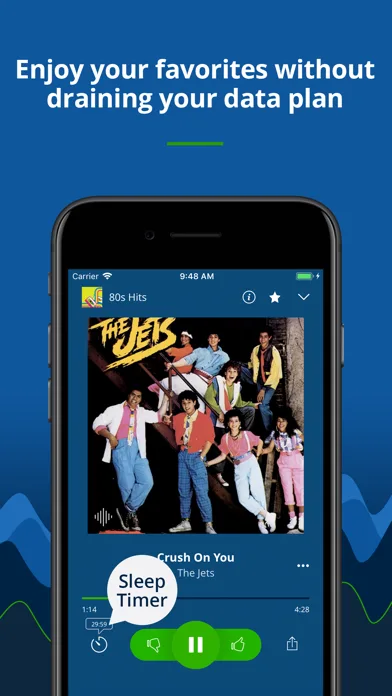 Radio Tunes - great music 24/7 screenshot 4