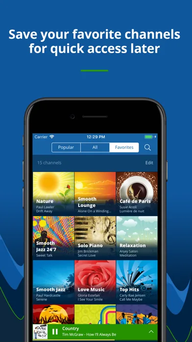 Radio Tunes - great music 24/7 screenshot 5