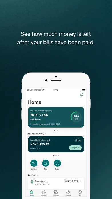 DNB Mobile Bank screenshot 1