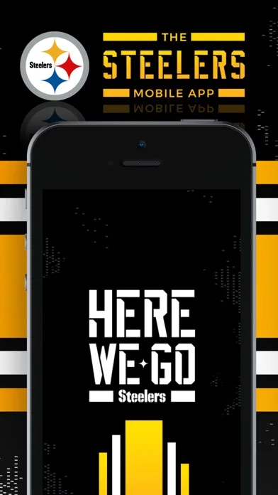 Pittsburgh Steelers screenshot 1