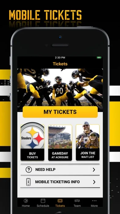 Pittsburgh Steelers screenshot 4
