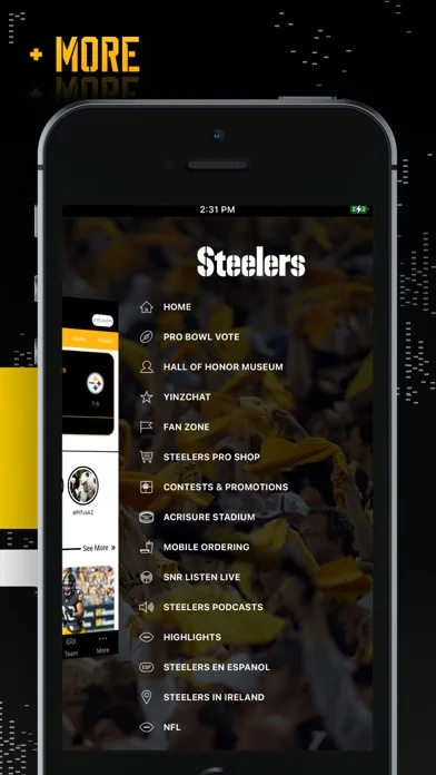 Pittsburgh Steelers screenshot 5