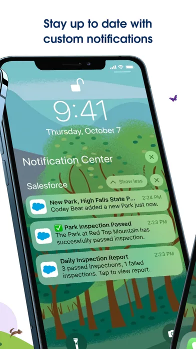 Salesforce screenshot 5