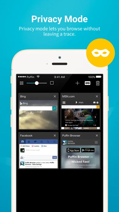 Puffin Browser Pro screenshot 2