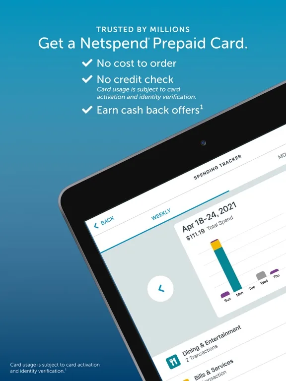 Netspend screenshot 1