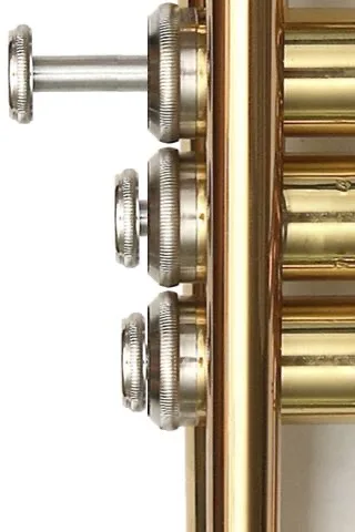Free Trumpet ♪♫ screenshot 2