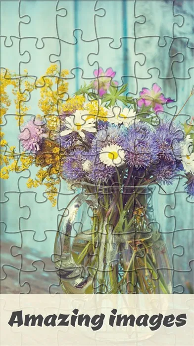 Puzzle Man -Jigsaw Collection screenshot 2