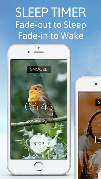 Sleep Sounds by Sleep Pillow screenshot 4
