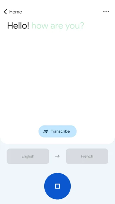 Google Translate screenshot 2