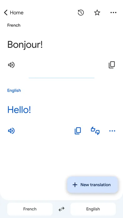 Google Translate screenshot 3