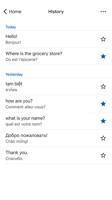 Google Translate screenshot 5