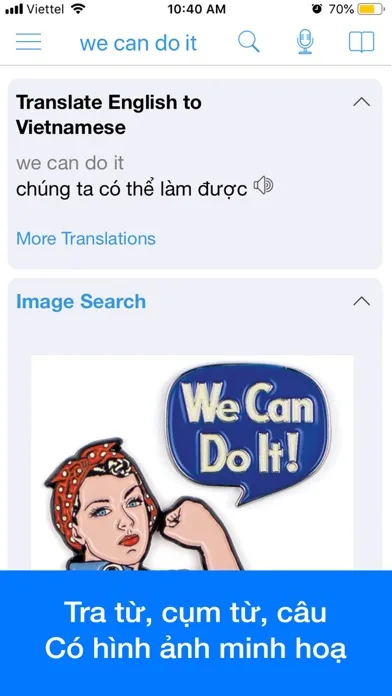 Vietnamese Dictionary Dict Box screenshot 2