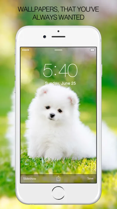 Puppy Wallpapers – Cute Puppy Pictures & Images screenshot 1