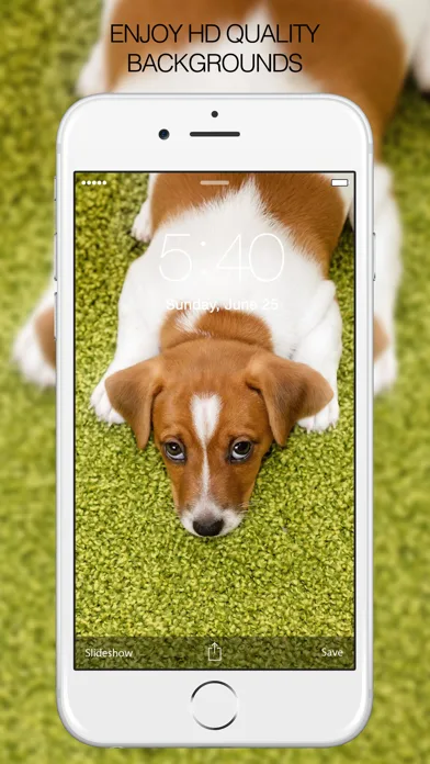 Puppy Wallpapers – Cute Puppy Pictures & Images screenshot 2