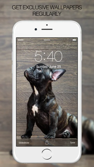 Puppy Wallpapers – Cute Puppy Pictures & Images screenshot 3
