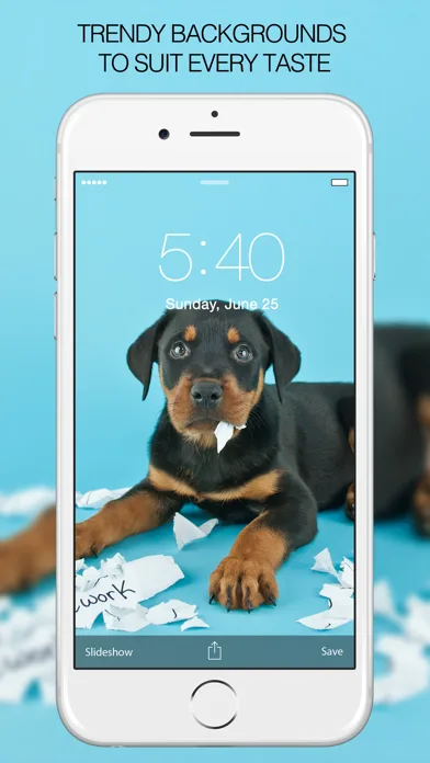 Puppy Wallpapers – Cute Puppy Pictures & Images screenshot 4