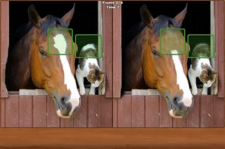 Horses Spot the Difference screenshot 1