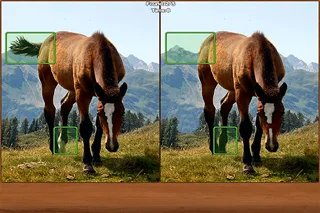 Horses Spot the Difference screenshot 2