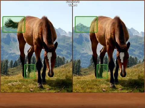 Horses Spot the Difference screenshot 4